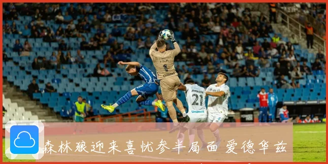 森林狼迎来喜忧参半局面 爱德华兹即将复出 麦丹确诊髌腱炎及骨挫伤