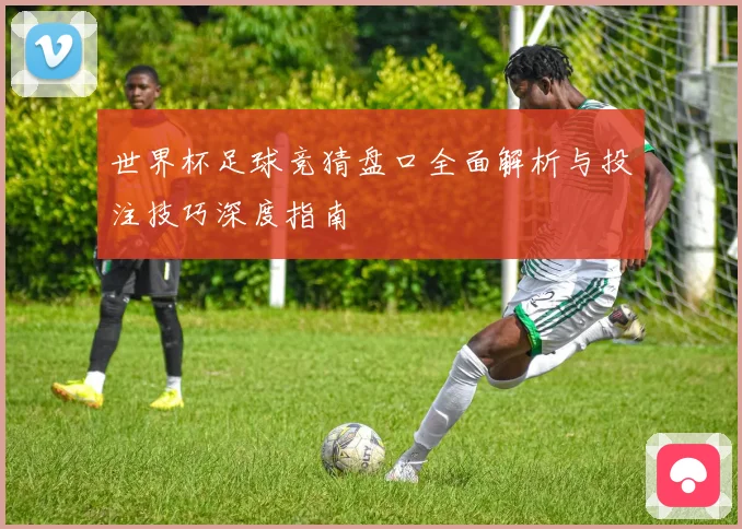 世界杯足球竞猜盘口全面解析与投注技巧深度指南