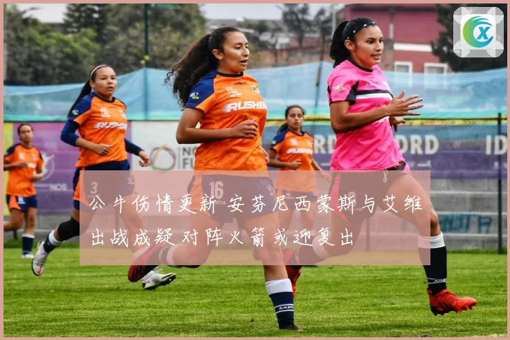 公牛伤情更新 安芬尼西蒙斯与艾维出战成疑 对阵火箭或迎复出